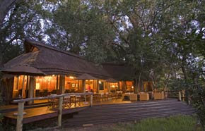 Relax around guest area at Nxabega Tented Camp