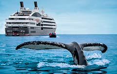 Ponant cruise ship with whale