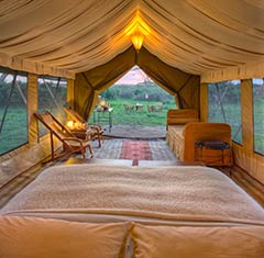 African Adventures visits the Serengeti